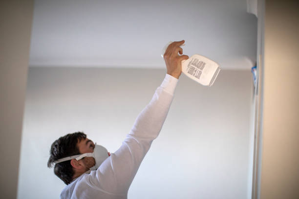 Professional Mold Removal in Essexville, MI