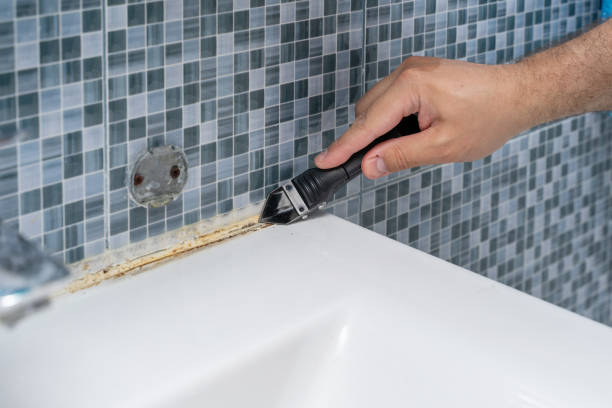 Best Black Mold Removal  in Essexville, MI