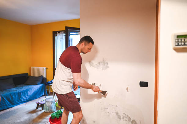 Best Mold Testing  in Essexville, MI